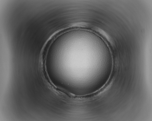 X0000116110923200911231142