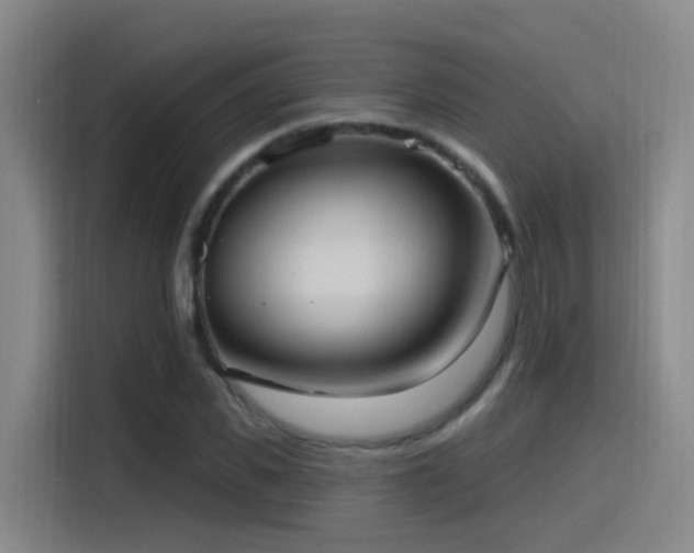 X0000116110925200911231142