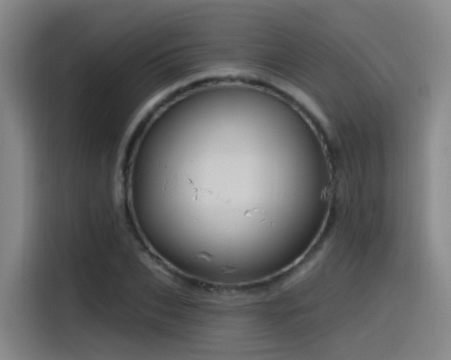X0000116110927200911231142
