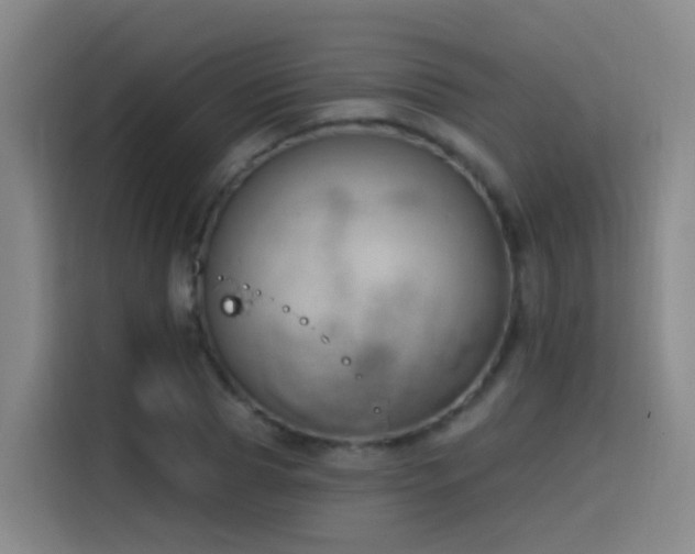 X0000116110929200911231142