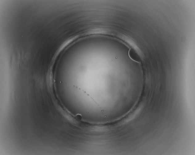 X0000116110933200911231142