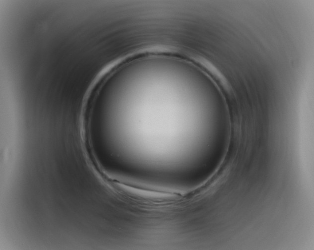 X0000116110935200911231142