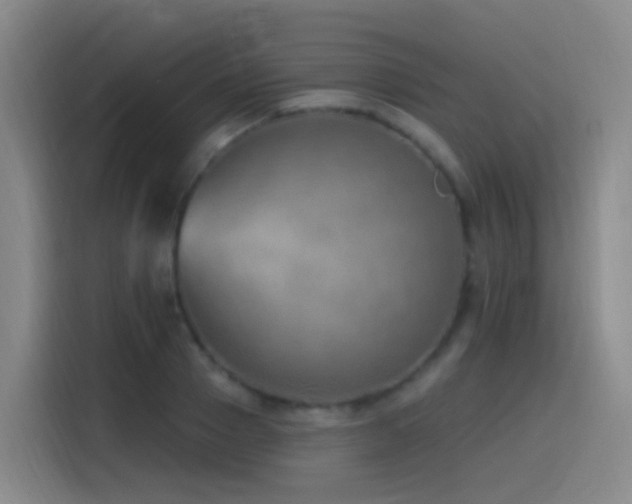 X0000116110937200911231143