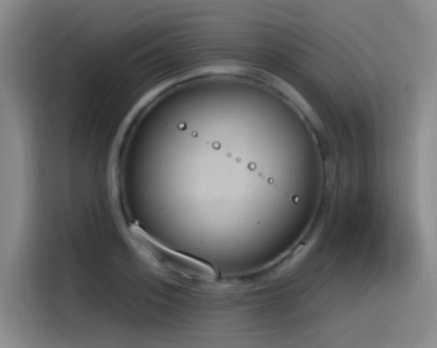 X0000116110939200911231143