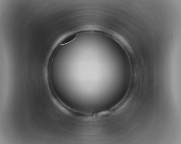 X0000116110942200911231143