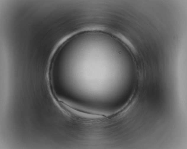 X0000116110943200911231143