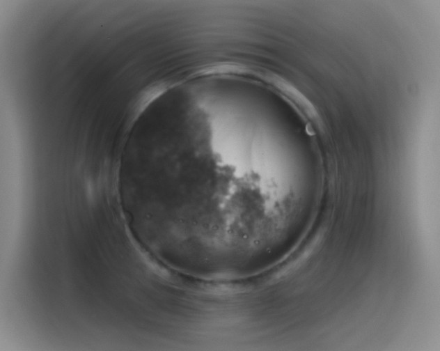 X0000116110945200911231143