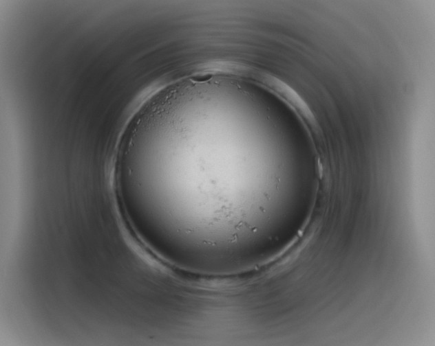 X0000116110946200911231143