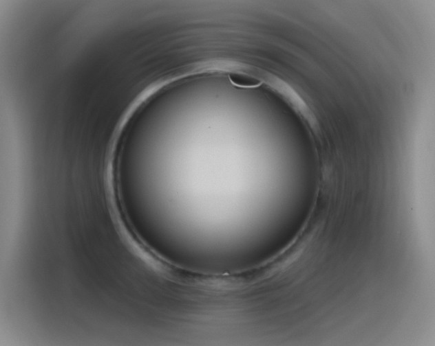 X0000116110947200911231143