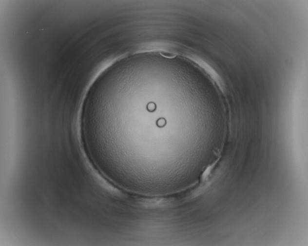 X0000116110949200911231143