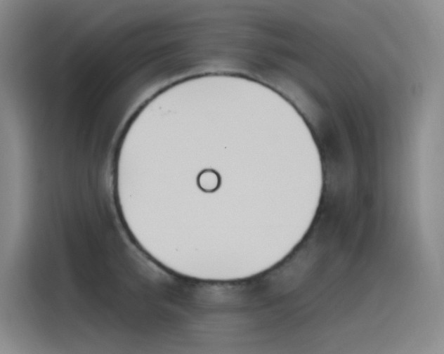 X0000116110950200911231143