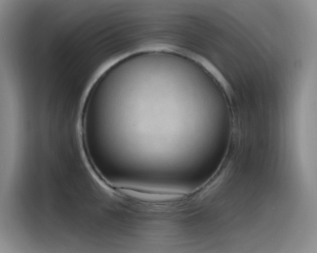 X0000116110951200911231143