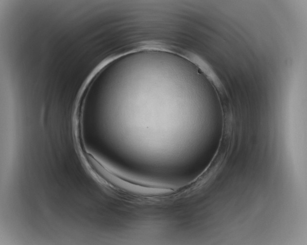 X0000116110955200911231143