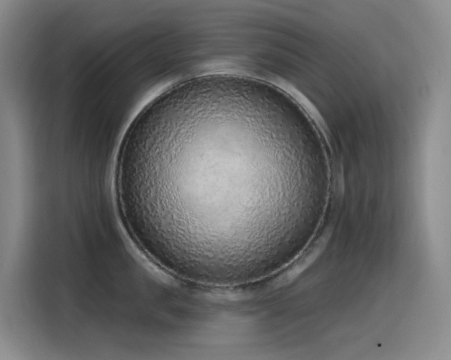 X0000116110957200911231143