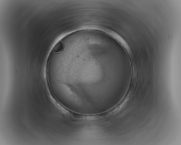 X0000116110958200911231143