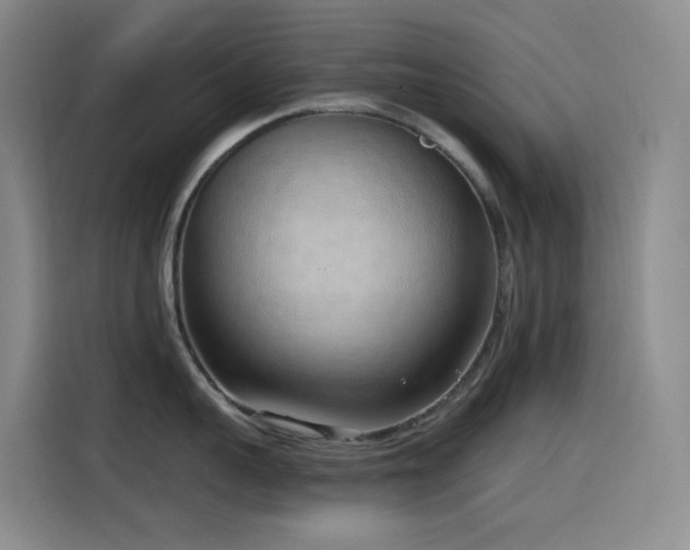 X0000116110959200911231143