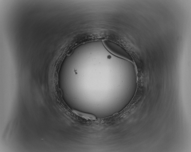 X0000116110961200911231142