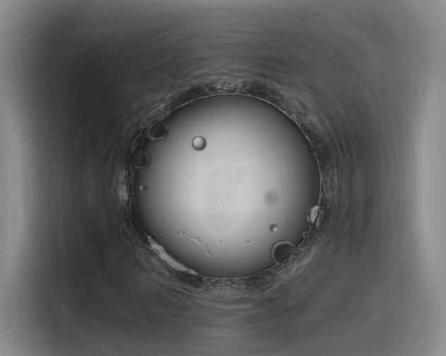 X0000116110962200911231142