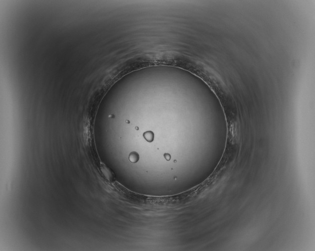 X0000116110963200911231142