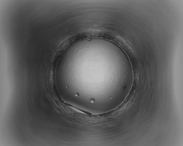 X0000116110964200911231142