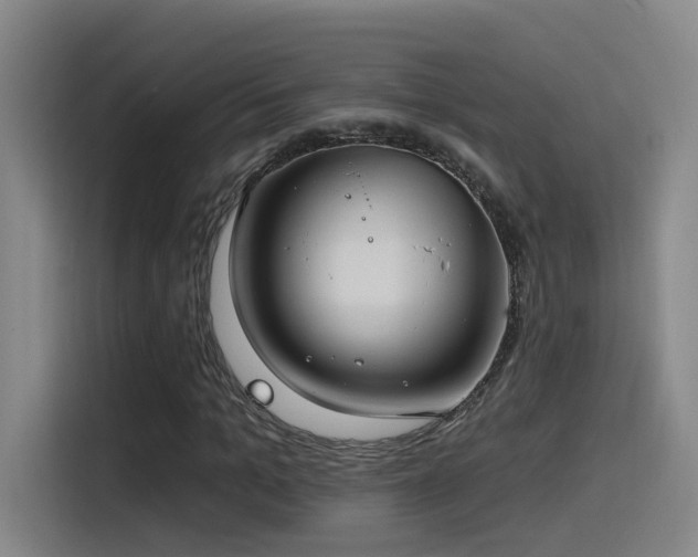 X0000116110965200911231142