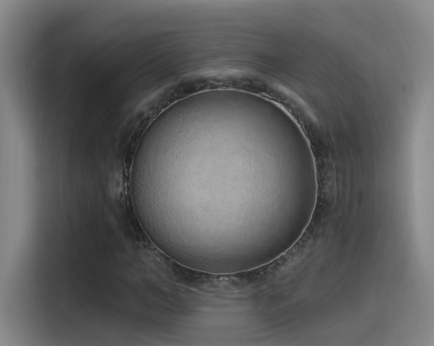 X0000116110966200911231142