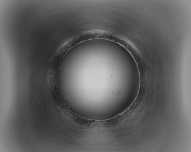 X0000116110967200911231142