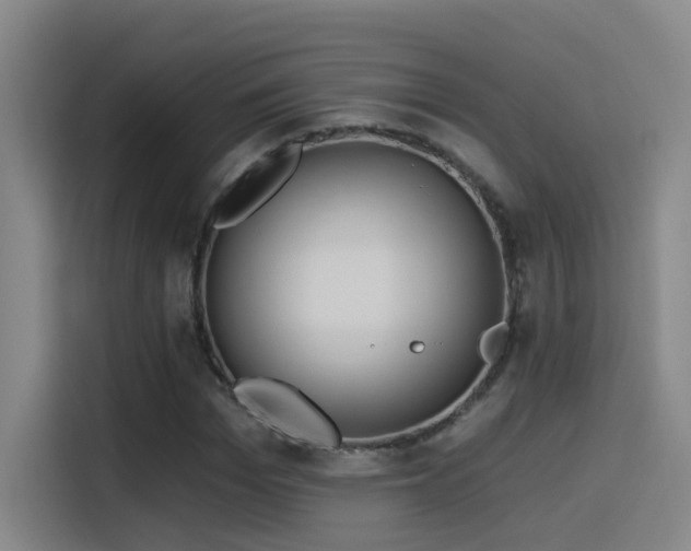 X0000116110969200911231142