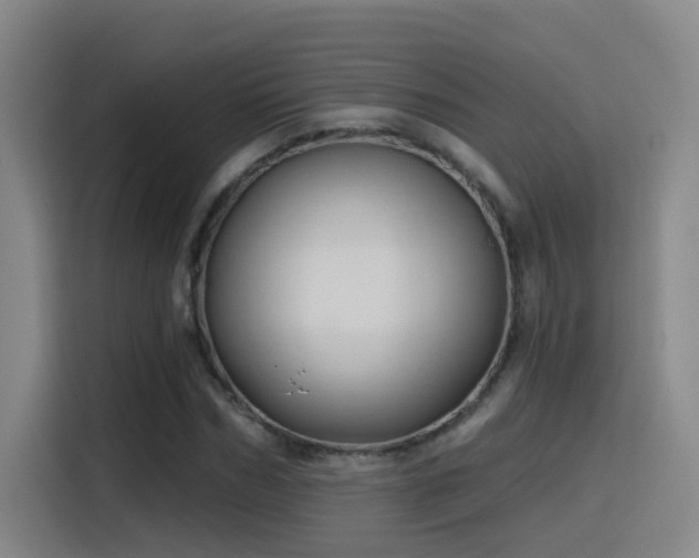 X0000116110970200911231142