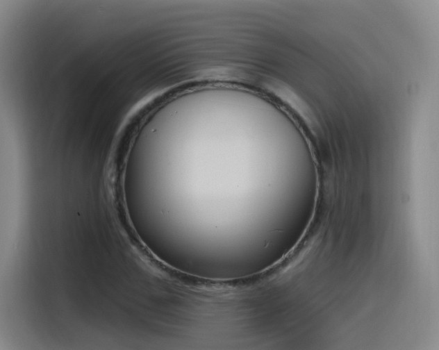 X0000116110971200911231142