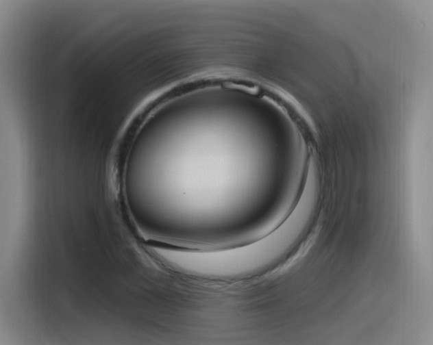 X0000116110973200911231142