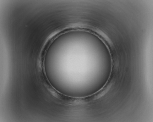 X0000116110974200911231142