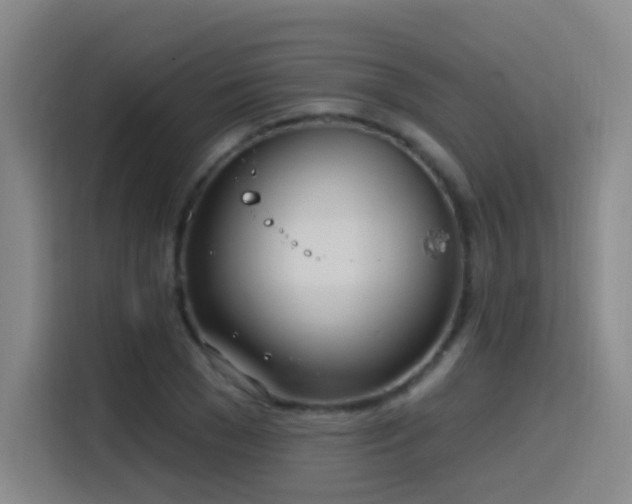 X0000116110977200911231142