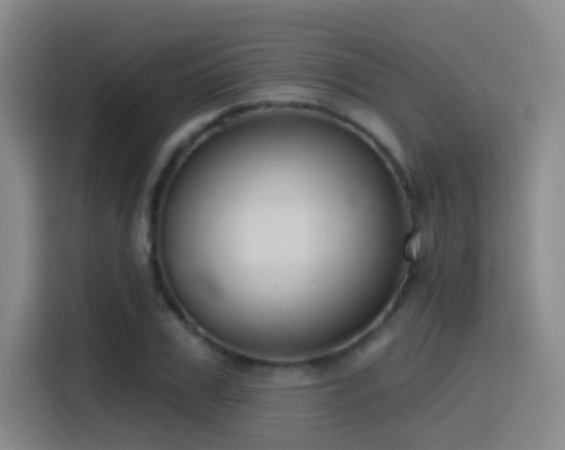 X0000116110979200911231142