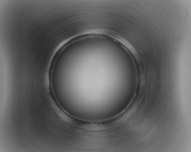 X0000116110980200911231142