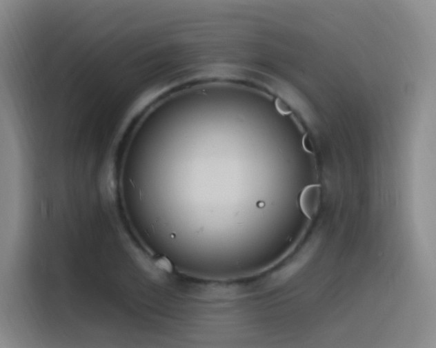 X0000116110981200911231142