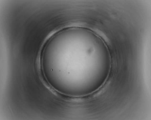X0000116110982200911231142