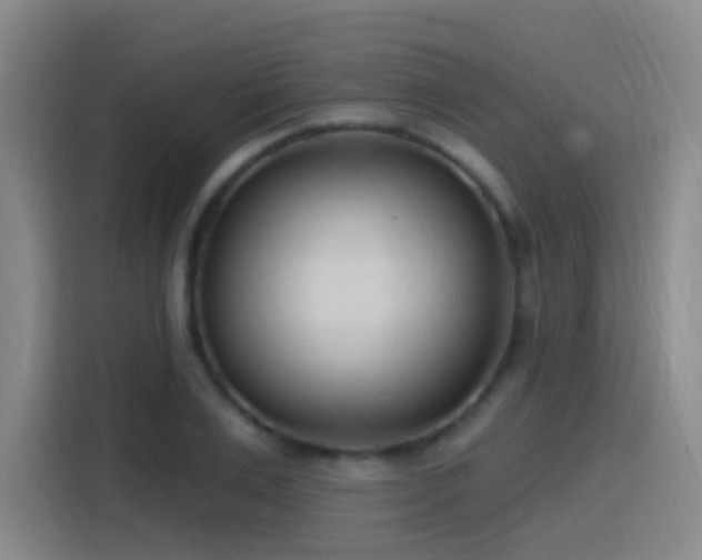 X0000116110983200911231142