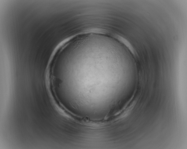 X0000116110987200911231142