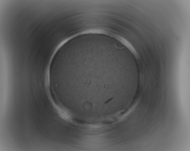 X0000116110988200911231142