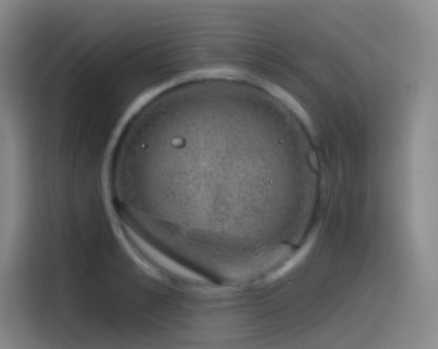 X0000116110989200911231142