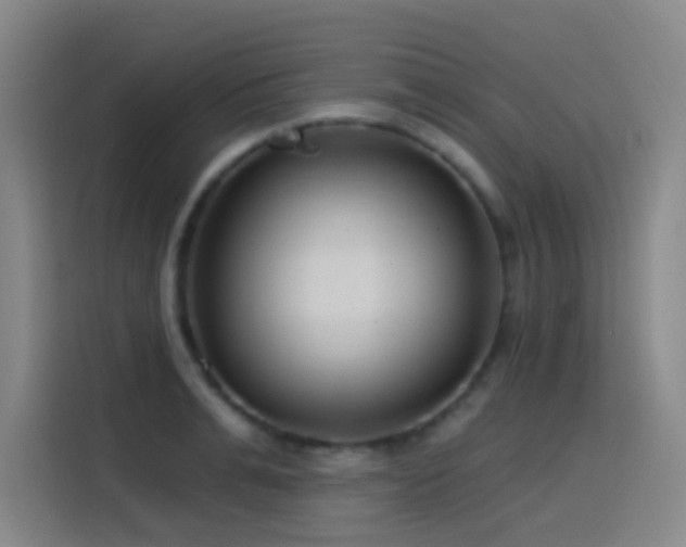X0000116110991200911231142