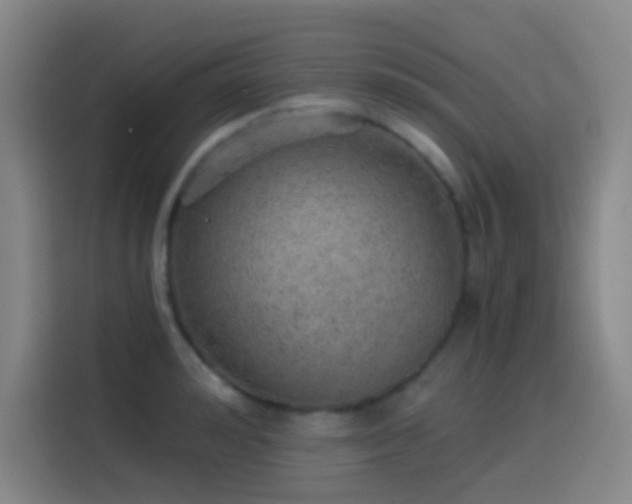 X0000116110992200911231142
