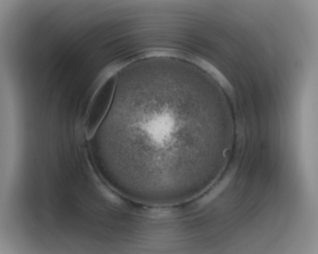X0000116110993200911231142