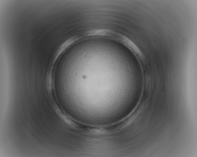 X0000116110994200911231142