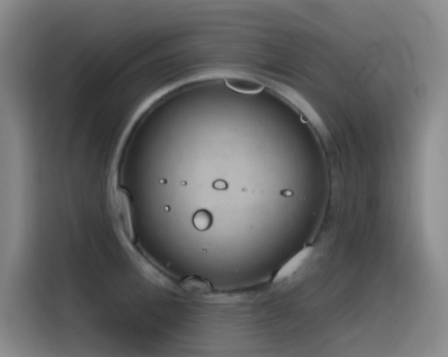 X0000116110996200911231142