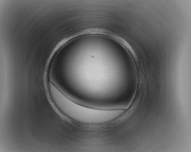 X0000116110997200911231142