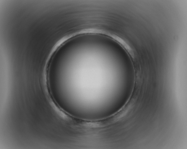 X0000116110998200911231142
