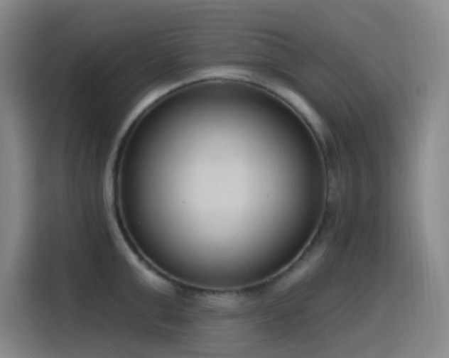 X0000116110999200911231142