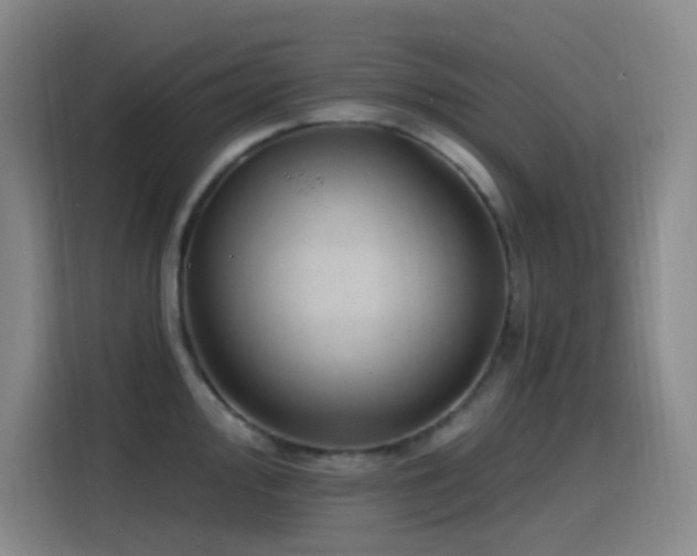 X0000116111000200911231142